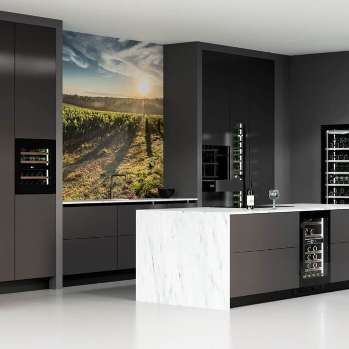 Forvino: de nieuwe standaard in wijnkoeling voor uw keuken